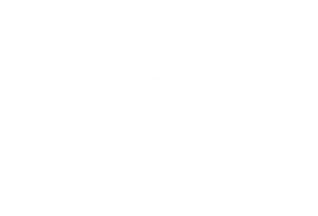 Logo DSTNY OpenIP Blanc