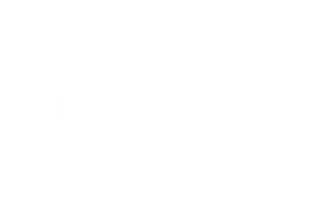 Logo Fortinet Blanc