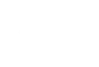 Logo Stormshield Blanc