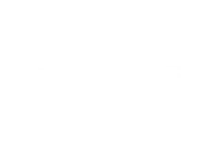 Logo Thales Blanc