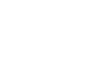 Logo Veeam Blanc